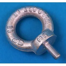 Śruba z uchem DIN 580